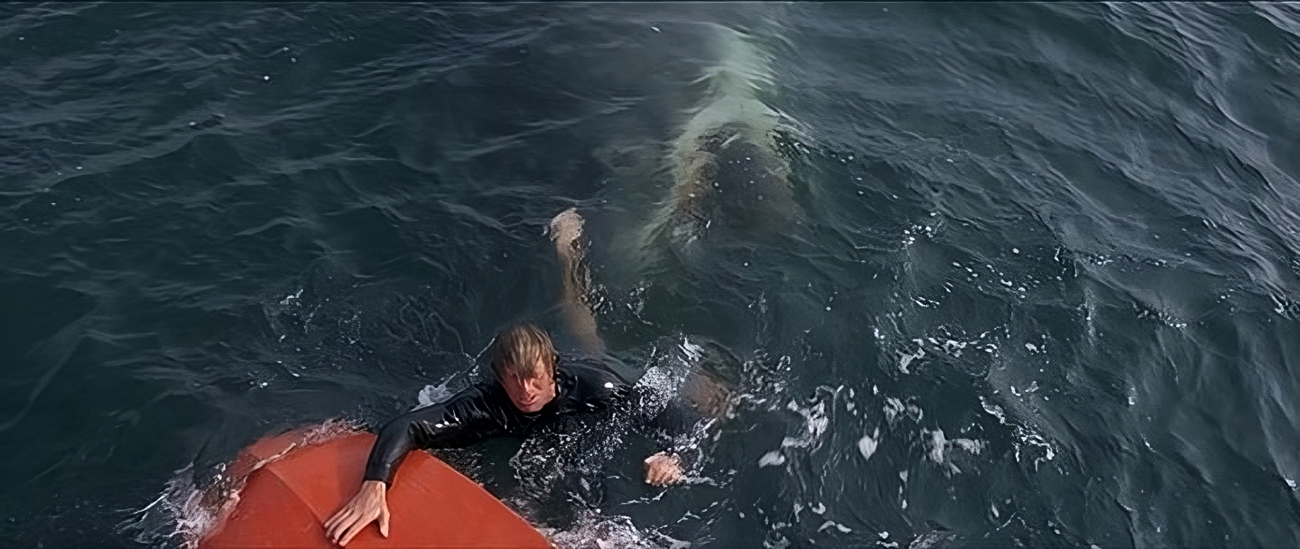 32_20(537)-transformed