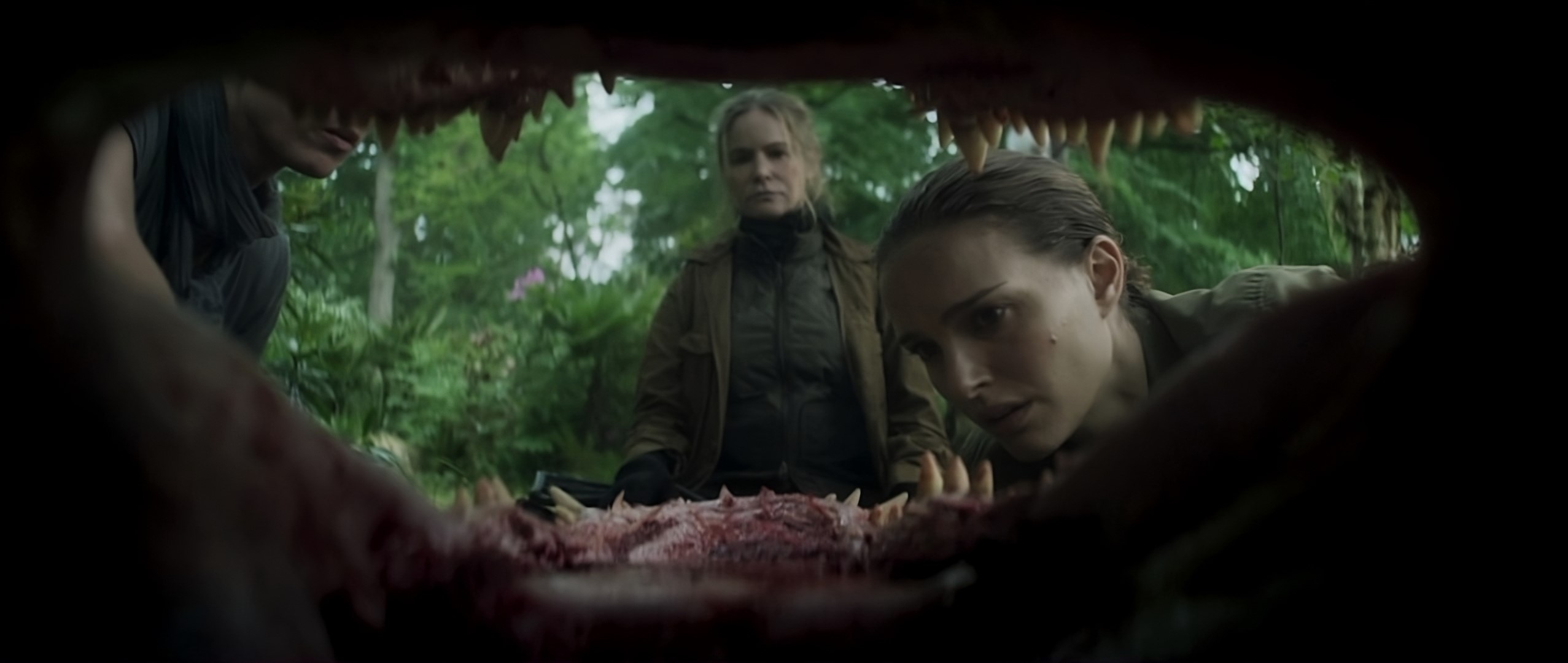 annihilation017-transformed